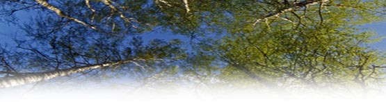 eliantis partners coaching intervention elaborer une vison