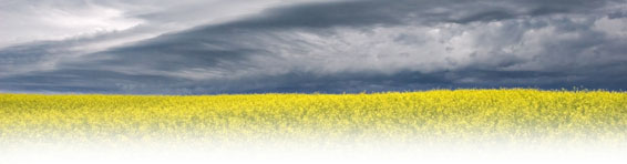eliantis partners coaching vous souhaitez repondre � un changement de l'environnement interne ou externe a l'entreprise